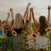 hannah-busing-g1ibp6doyrg-unsplash-75x75.jpg